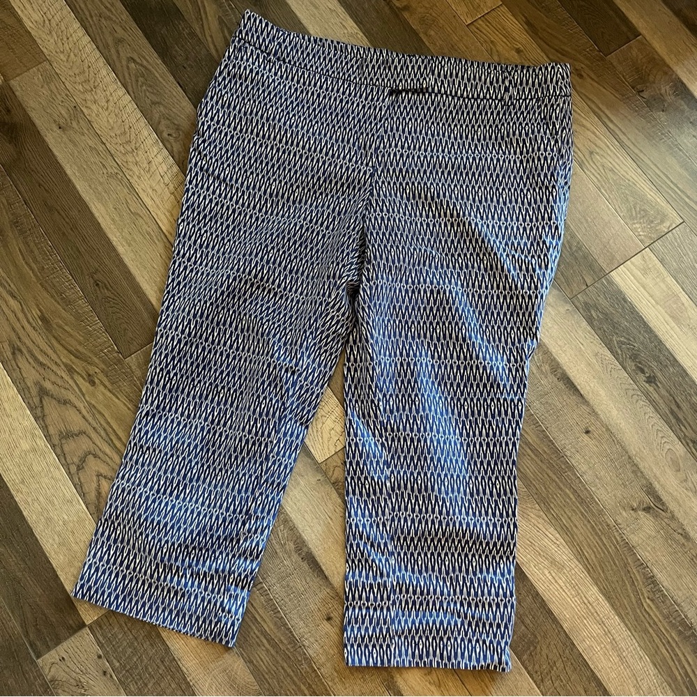 Fun Willi Smith Pants